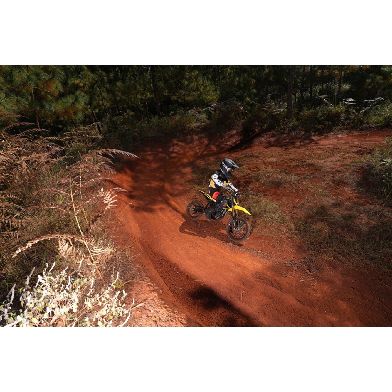 Sur-Ron | Hyper Bee Off-Road Groen